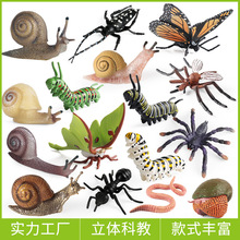 仿真昆虫动物模型蝴蝶蜗牛天牛蚂蚁毛毛虫月神蛾蚯蚓儿童认知玩具