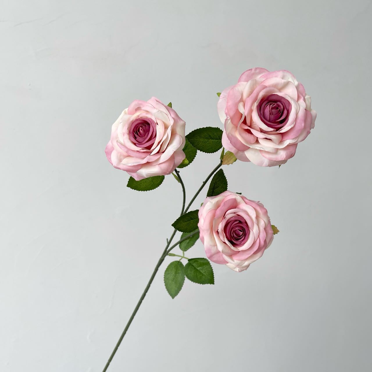 3 헤드 다이아몬드 로즈 핑크 보라색