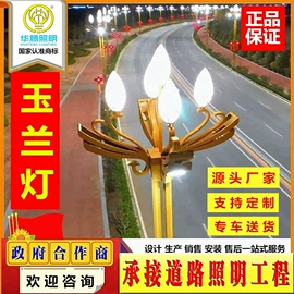 道路照明灯;景观灯;太阳能灯