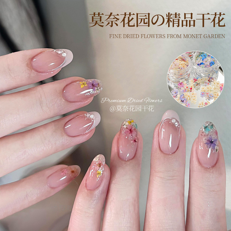 Monet Garden Spring Dried Flower Nail Art Decoration DIY Nail Floral Internet Celebrity 3D Five-Petal Flower Nail Accessories Monet Garden Spring Dried Flower Nail Art Decoration DIY Nail Floral Internet Celebrity 3D Five-Petal Flower Nail Accessories