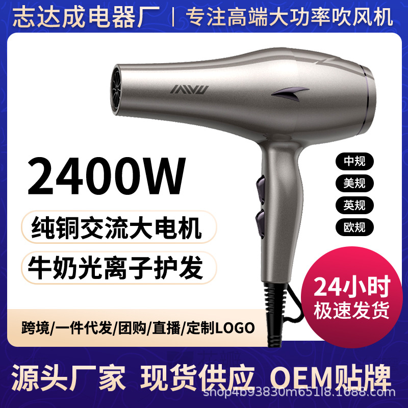 New Hair Dryer for Home Hair Care Salon Hot and Cold Air Barber Shop High Power Hair Dryer Constant Temperature Cross-Border Manufacturer Batch
