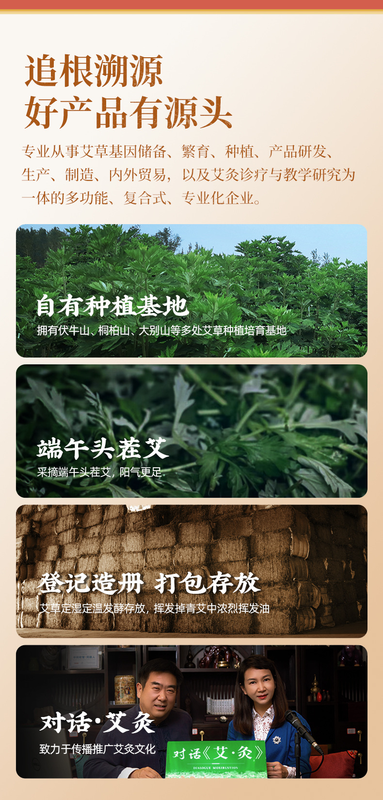 Five Year Aged Moxa Sticks Ai Tiao 18x200mm 10 Pack Pure Mugwort Moxibustion Rolls for Home Warming Therapy preparation