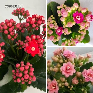 �ذ��L�ۻ� �L�ۻ����� �ļ��_�� ��������ԭ��ԭ���������l؛