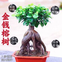 ���X�Ř��Ϙ��辰�˅�С�~�Ř��ļ����B���҃��k�������ԃ����՚�