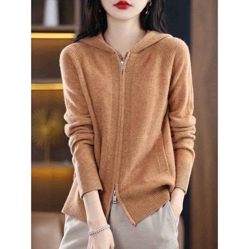 Double Zipper Hooded Cardigan Women's Spring and Autumn New Loose Casual Hooded Jacket New Outer Top