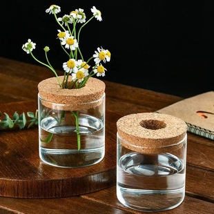 High-Looking Simple Home Office Hydroponic Plant Bottle High Borosilicate Glass Transparent Heat-Resistant Thickened Micro-Landscape Bottle
