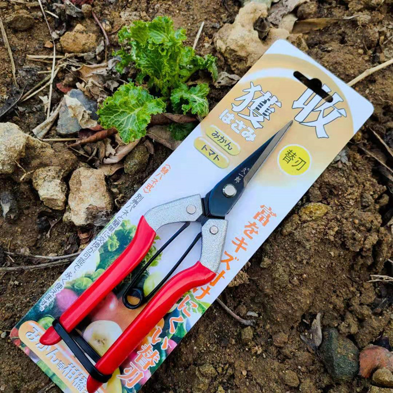 久一郎sk-5摘果疏果采果 稀果剪葡萄剪枸杞剪疏花剪刀园林园艺剪