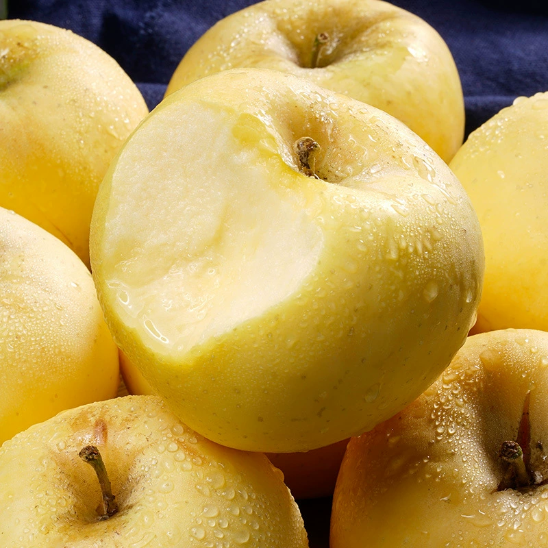 [Мероприятие] Shandong Golden Cream Fuji Delivery 2.5kg Fresh Fruit Rock Candy Heart Qixia Yellow Apple