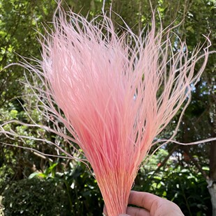 ������ | ��ë���������ɻ� �ë�é������ �ֹ��������DIY����
