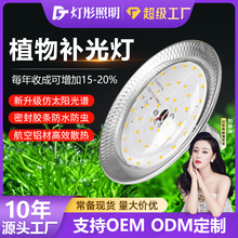 户外专用植物生长灯火龙果室外大棚蔬菜补光灯冬季催熟功能照明灯