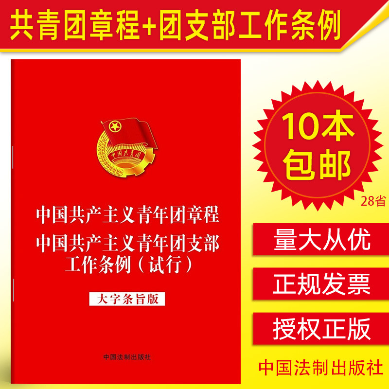 正版包邮 中国共产主义青年团章程+团支部工作条例试行 大字条旨