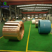 H70�߾��S�~�� ��������~�� ����a�S�~Ƥ ɢ������Ƭ���S�~Ƥ