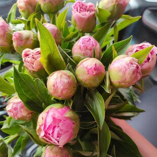 �ذ���ș�r�����lĵ���r�����l����r������ֱ���r�л���c�[��