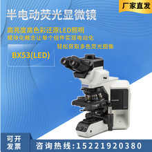 OLYMPUS日本奥林巴斯BX63/53(LED)/CX43/33正置显微镜生物显微镜