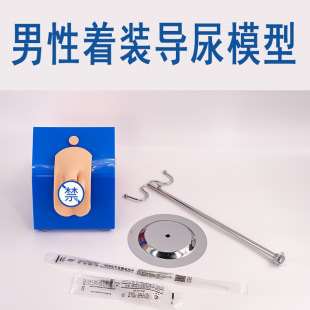 Dressing male urinary model Simple urine conduction model Men's reproductive anatomy model