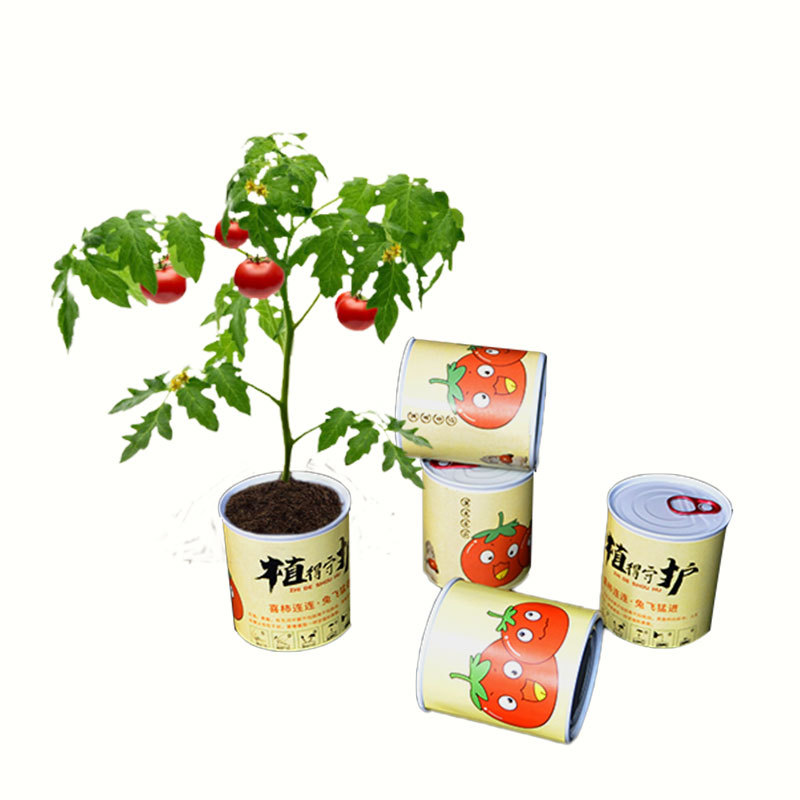 Planting canned pots and green plants for kindergarten children and…