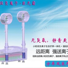 生态级小粒径负离子发生器高活性净化器负离子净化器