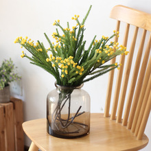 ɳ���ɷ����b�ֲ���g����ֲ�����@����@ˇ�Ļ��k���������ٻ�