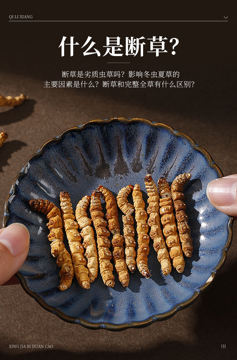 Dried Cordyceps Sinensis Broken Stems 5g Jar Tibetan Plateau Whole Dried Cordyceps for Cooking specifications