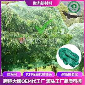聚乙烯挤出网加厚网养殖网大棚网尼龙果园网绿色防鸟网拦鸟网防护