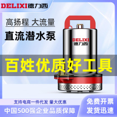 徳力西直流潜水ポンプ12v24v48v60v家庭用電気自動車ポンプ電動農業用灌漑ポンプ
