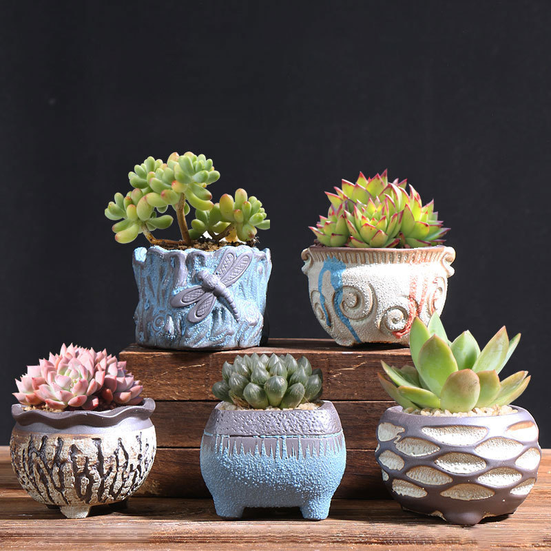 Colorido pulgar Control de raíz suculenta maceta cerámica hogar carne planta especial pequeña olla de arcilla fábrica directa al por mayor