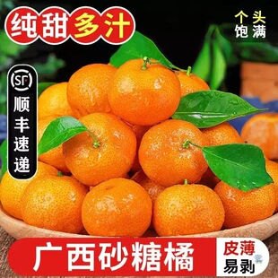 ���ڏV��ɰ�������rˮ�������۽�ɳ�ǽ�����ؕ��������S���]