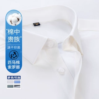 男士衬衫男长袖匹马棉吸汗透气速干抑菌100S双股DP成衣免烫衬衣男