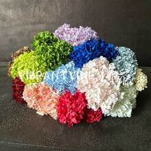 ��Y��5�^����������滨��c���·���廨���ՔzӰ�b��ļٻ�