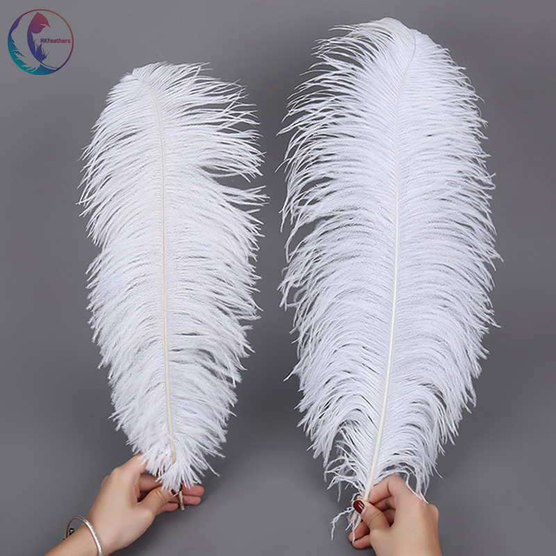 In-Stock White Ostrich Feathers 15-65cm for DIY Masks, Fans, Toys, and Decorations, Direct Sale from Manufacturer