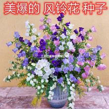 �����L⏲ݷN���L⏻����̨ͥԺ�^�pֲ�ﻨ���׷N���Ի��ܷN��