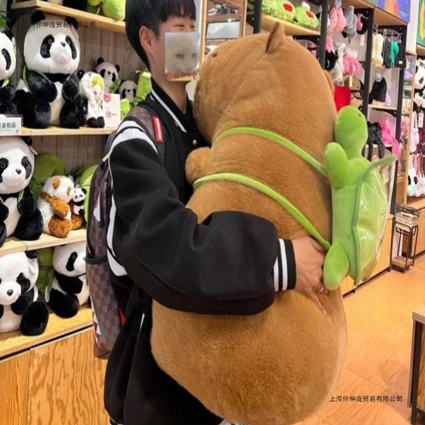 虹猫蓝兔七侠传