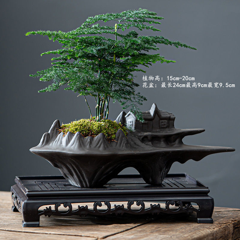 그물 빨간 폭발 절벽 사람 + 아스퍼거 + 직사각형 트레이