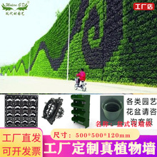 ���w�G��ֲ���ڒ컨�费ֱ����Nֲ���^�������w�G�������S��