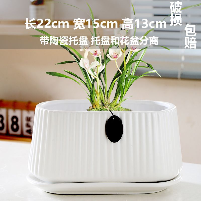 Long vertical stripes with tray matte white