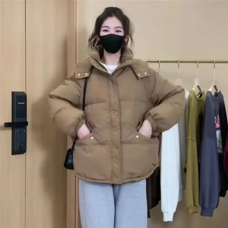 갈색