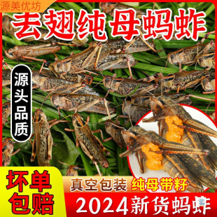 ���rΛ��500g���x��ʳ���xȥ����w�������ĸ��ώ����џ���ʳ��