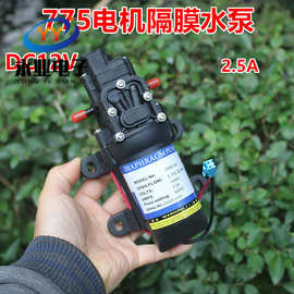 12V大流量隔膜泵高压水泵 可调压力开关高压隔膜自吸泵 775电机