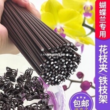 �����m֧�܊A�ӹ̶�����������F�z�������@ˇ����ֲ��֧�ΗU