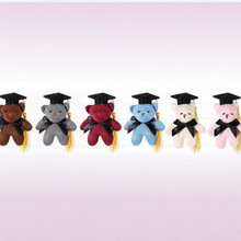 毕业熊戴博士帽小熊博士熊毛绒玩具小熊布娃娃挂件毕业季礼品处理