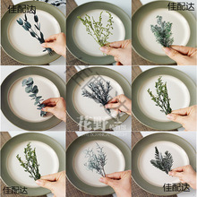 ��Ұ��֧|���D÷����ǧ�ӽ��������ɻ�diy���ϰ��Gɫ���~ֲ��˱�