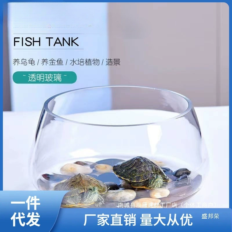 Аквариумные принадлежности оптом, стеклянный круглый аквариум для гостиной, миниатюрный настольный аквариум для черепах