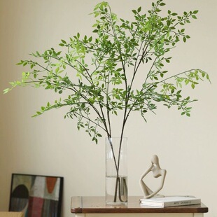 �S�����l����Gֲ�������ô���5��������ٻ���c�廨�쾰���컨