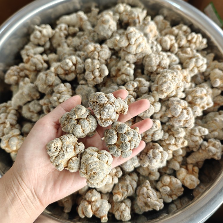 San Qi Notoginseng Root Whole Dried Tian Qi 500g for Soup and Decoction key features