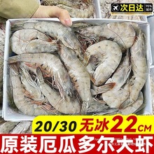 ��϶ࠖ���r���r�r���ك��}��2030���r�����r���r���r��r����