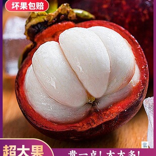 ̩���M��ɽ�����r�������10�ﮔ���ЋDˮ��������5a�F؛��S���]