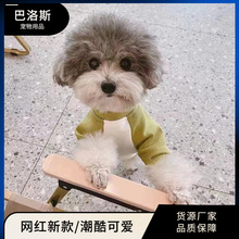 春秋潮牌狗狗宠物衣服批发中小型犬服装薄款柯基泰迪法斗物品狗狗