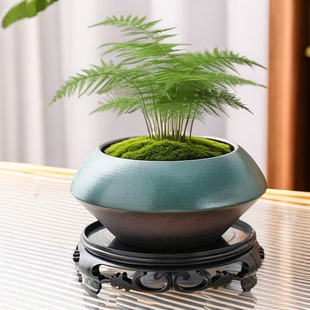 һ�����l���l̦�\��������o��ˮ���մɄ��������ɰ�U���k����