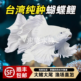 ̨�����������w���w������β�F����ˮ�^�p�~���B��ˮ�~������]