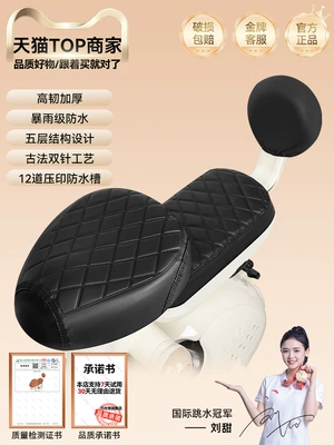 Yadi Emma Battery Car Seat | Electric car cushion - black-front-seat-cover-rear-seat-cover-backrest-cover-simple-style